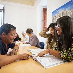 Sprachschüler Maltalingua